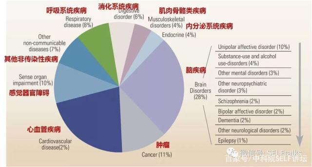 中國腦健康日關(guān)注“頭”等大事,中國腦科技的未來是什么?